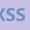 PortSwigger Labs - Cross-Site Scripting Answers